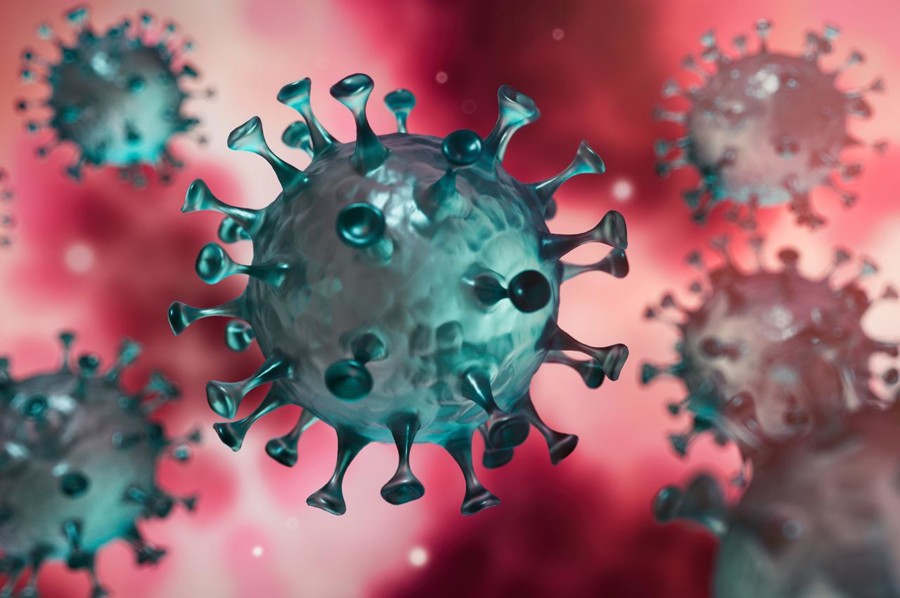 SJUTRA O EPIDEMIOLOŠKOJ SITUACIJI U CRNOJ GORI