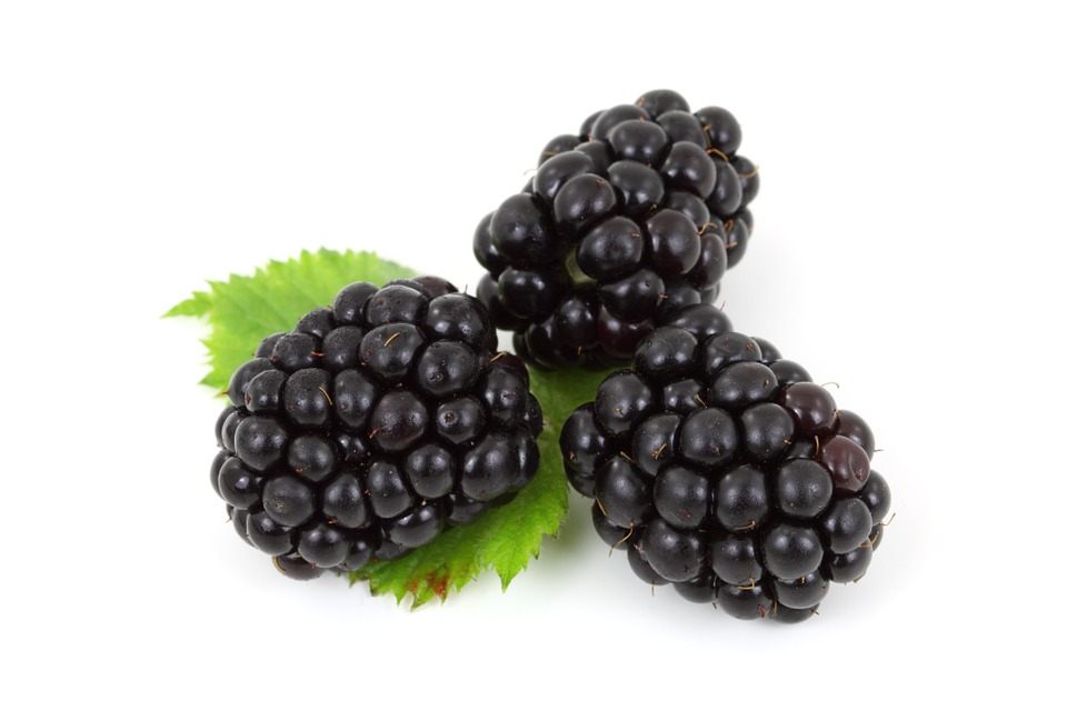 PLOD PREPUN ZDRAVLJA Kupine ublažavaju simptome dijabetesa, bore se protiv anemije...