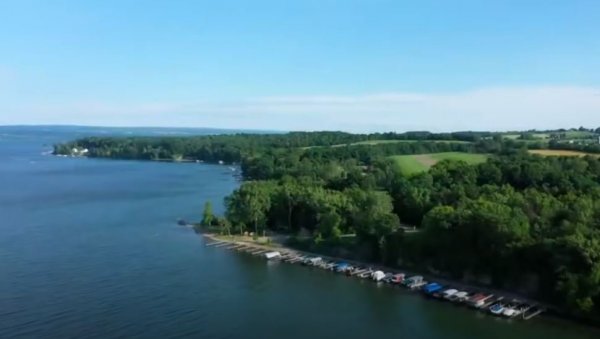 Pukle čeline na Crnom jezeru, pogledajte nestvaran prizor (VIDEO)