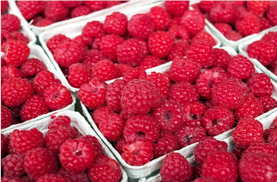 CRVENO BLAGO Svakodnevno pojedite maline i riješite zdravstvene tegobe!