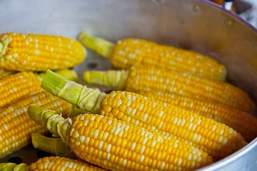 KUKURUZ JE LIJEK ZA MNOGE BOLESTI Žitarica koju se često nazivaju zlatnim zrnom