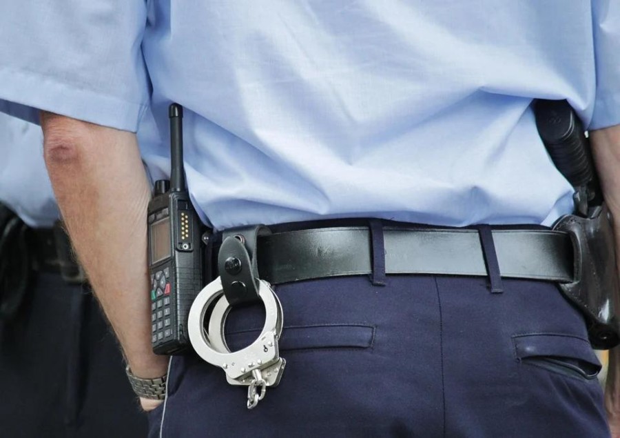 U CRNOGORSKOJ OPŠTINI OTKRIVENA PARCELA SA MARIHUANOM! Pronađeno i oružje u ilegalnom posjedu