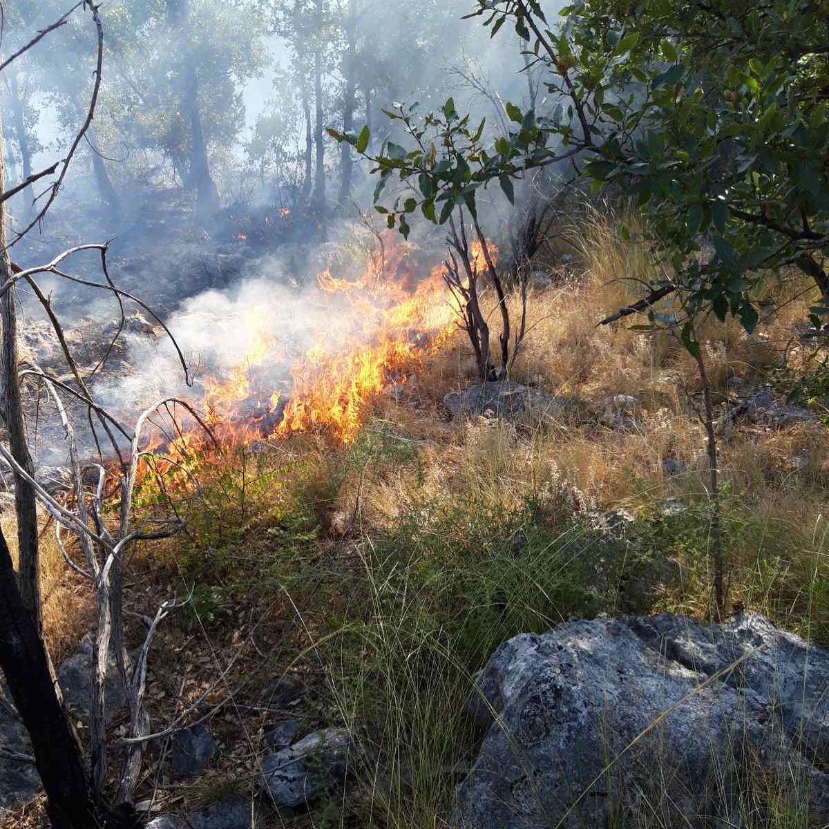 OPERATIVNI ŠTAB ZA ZAŠTITU I SPAŠAVANJE PONOVO APELUJE:  Ne paliti vatru na otvorenom