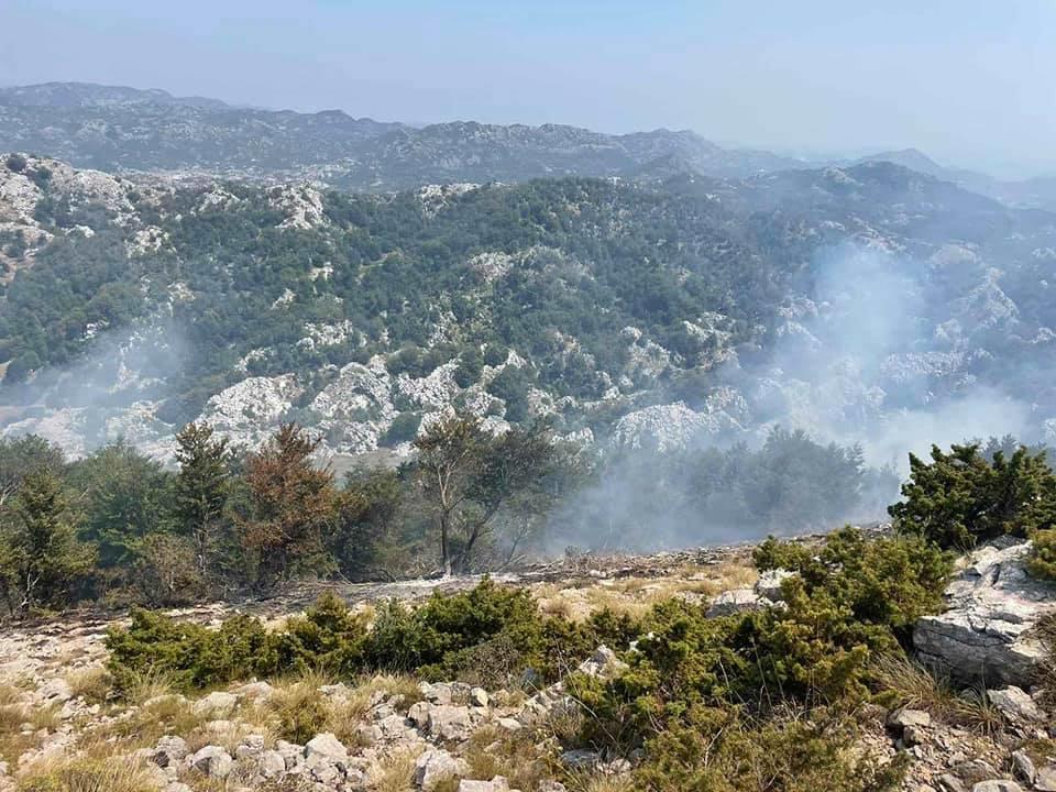NP LOVĆEN: Jedan broj građana samoinicijativno se organizovao i došao kako bi pomogli u gašenju požara (FOTO)