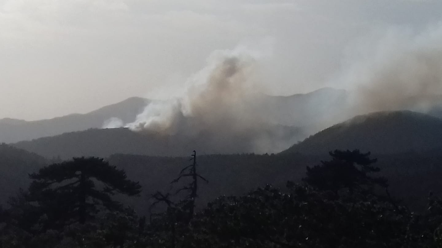 DODATNE SNAGE IZ 10 GRADOVA UPUĆENA NA MOKRU GORU: Vatrogasci se bore sa vatrenom stihijom