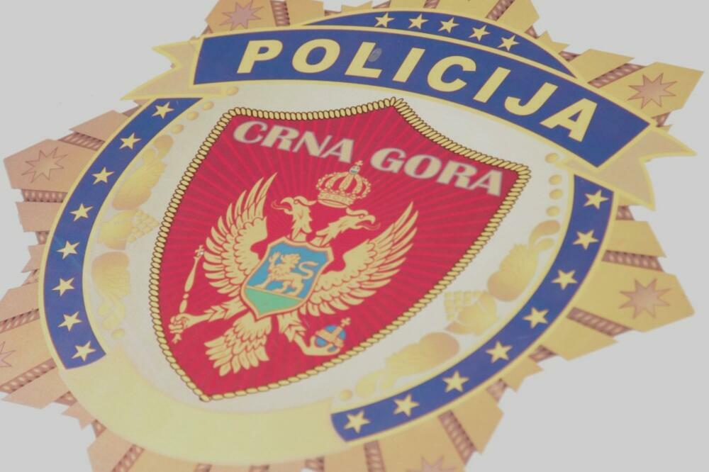 UP: Krivokapić nije smijenio Brđanina