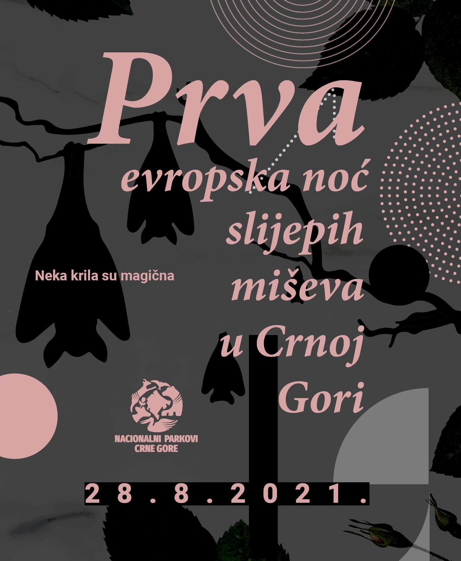 NEKA KRILA SU MAGIČNA: Nacionalni parkovi Crne Gore po prvi put obilježavaju Evropsku noć slijepih miševa