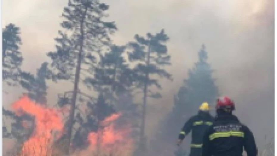 TRAŽE POMOĆ VOJSKE Požar u Neumu bukti, vatra ugrožava naselja