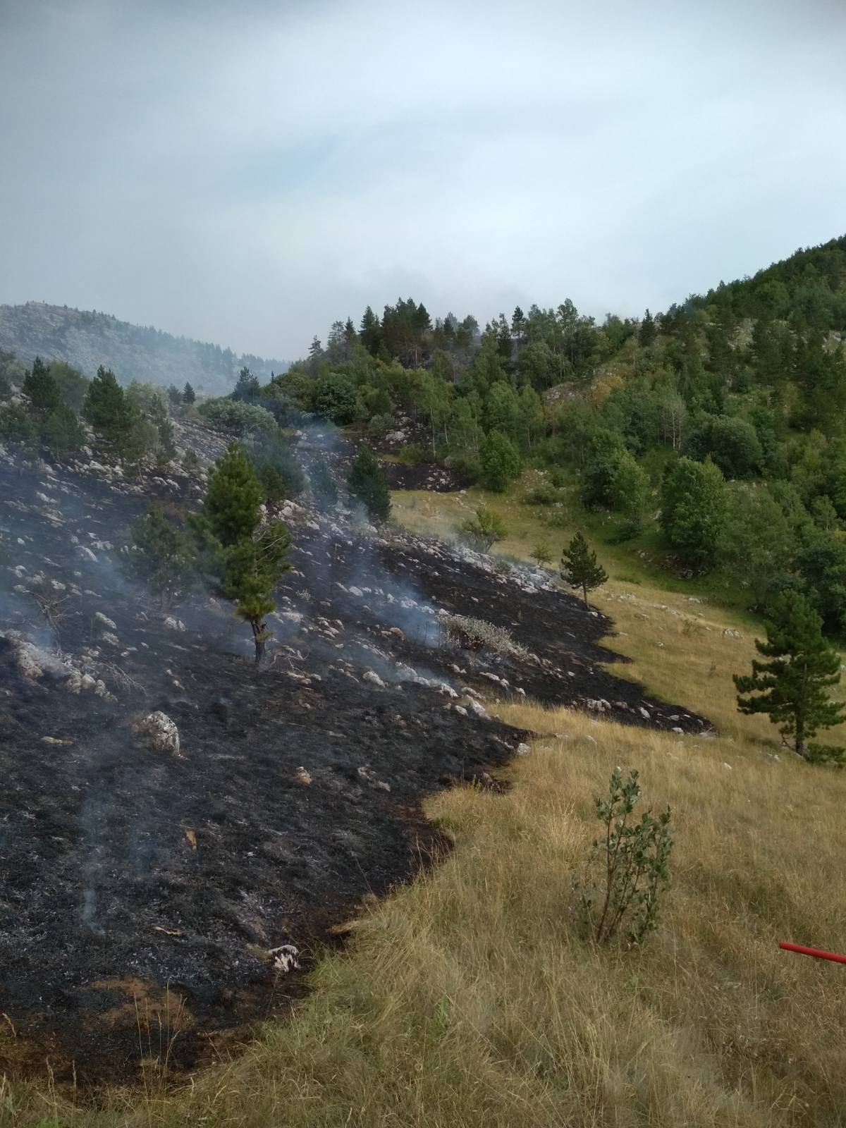 USPJEŠNA AKCIJA GSS-A Podgoričanin evakuisan sa Durmitora