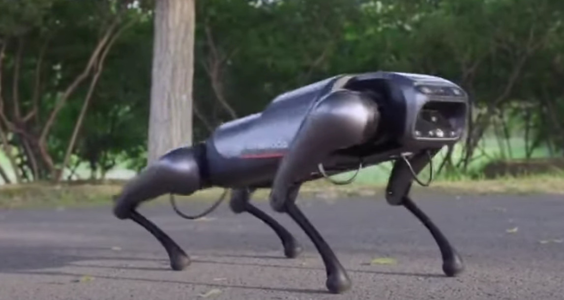 NOVI IZUM ZA MALE PARE Robot-pas ne traži hranu i pomno sluša komande vlasnika (VIDEO)