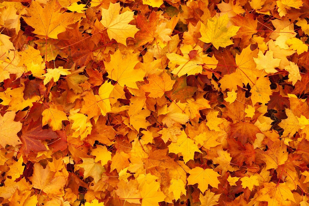 HOROSKOP ZA 12. NOBEMBAR: Uzbudljiv dan čeka horoskopske znakove, pred mnogima su sudbonosne odluke!