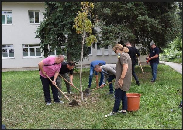 ZA LJEPŠU I ZDRAVIJU CRNU GORU: Umjesto planiranih 5.000 biće zasađeno 10.000 sadnica (FOTO)