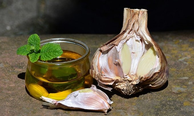 NAJEFIKASNIJI PRIRODNI ANTIBIOTIK Evo zašto je dobro koristiti ulje origana