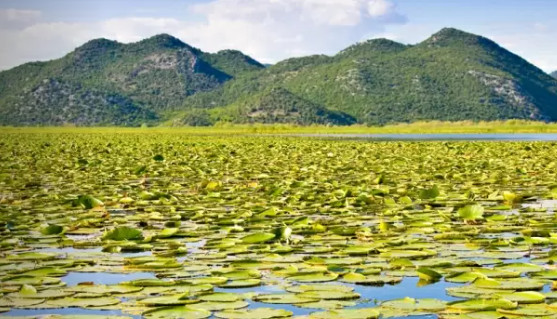 PRODUŽENA SEZONA Turisti i dalje dolaze na Skadarsko jezero i u Virpazar