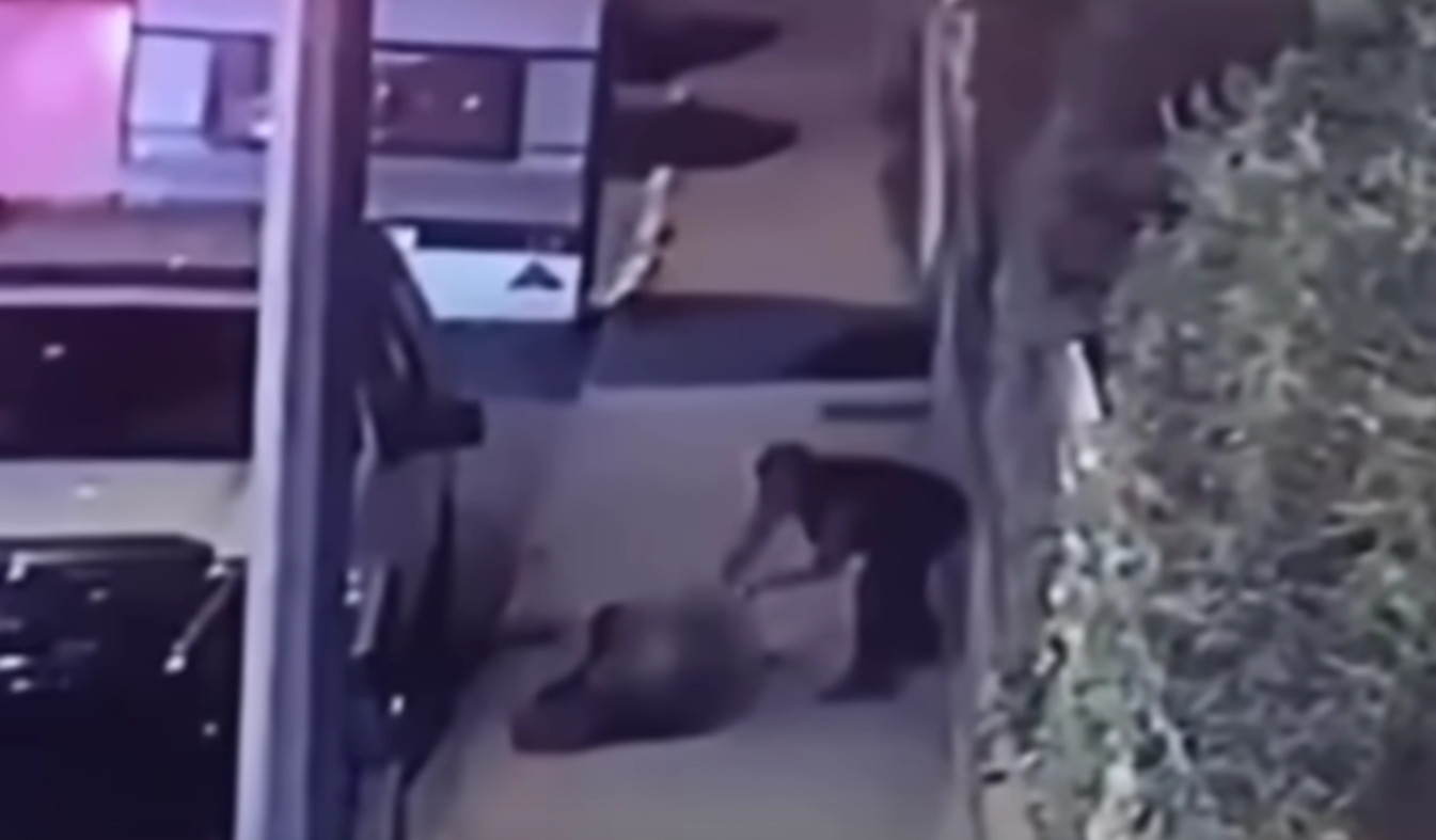 ISKASAPIO JE SAMURAJSKIM MAČEM Zastrašujući trenutak kada je žena isječena na smrt na ulici u Istanbulu! (VIDEO)