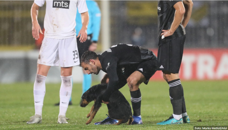 STRASTI SE NE SMIRUJU Partizan mora da reaguje zbog ''Dognalda''!