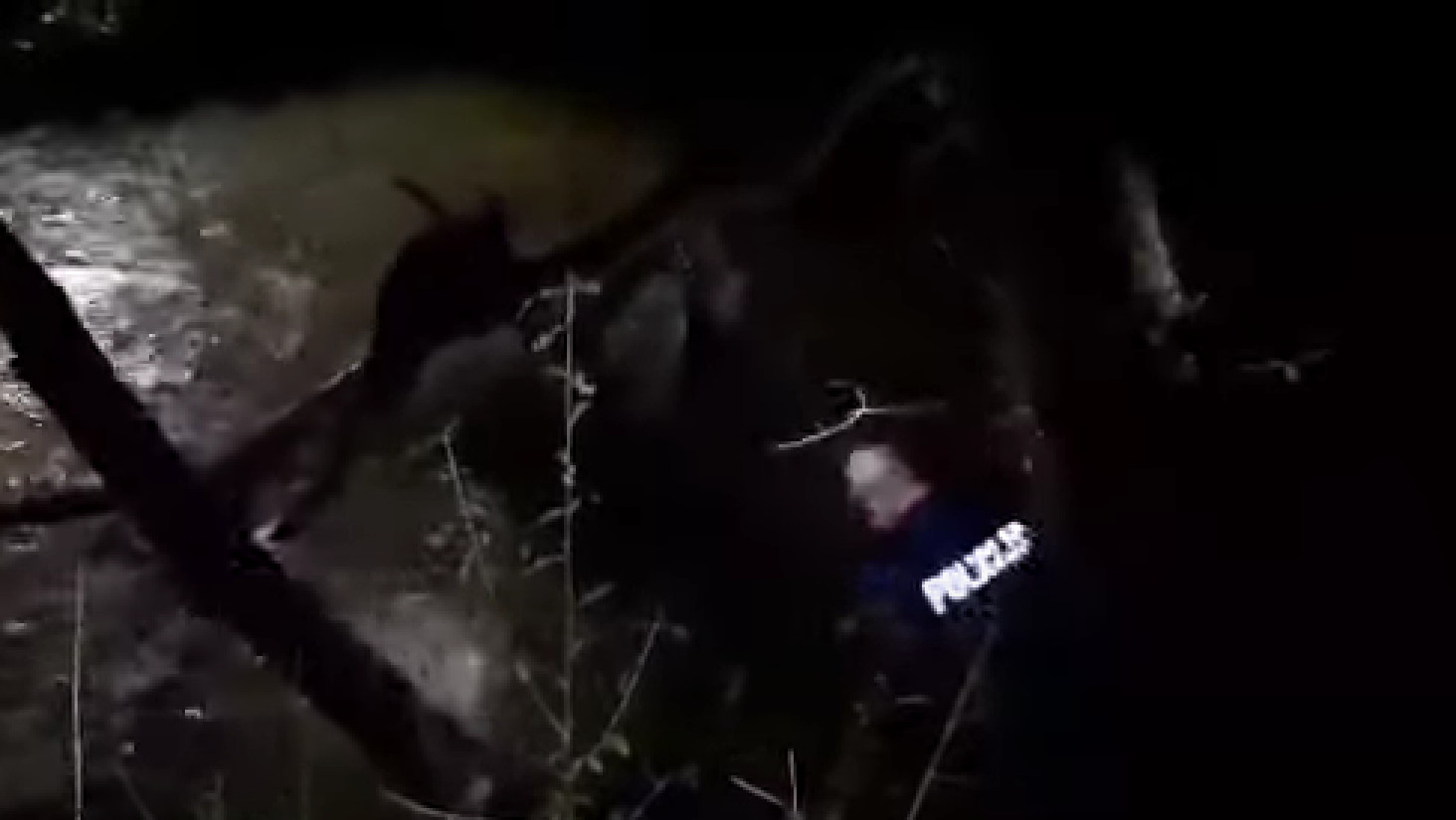 DIJETE ODVUKLA RJEČNA STRUJA: Dramatični snimak iz Istre, policajci jedva izvukli ženu iz rijeke (VIDEO)