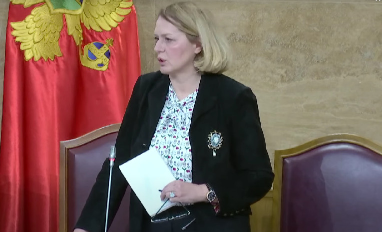BOŠNJAK: "Bulajić jedini koji može zakazati sjednicu"