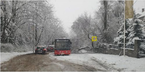 KOLAPS U BEOGRADU: Autobusi preprečeni na ulicama, padaju drveće i bandere, prave se ogromni zastoji (VIDEO)