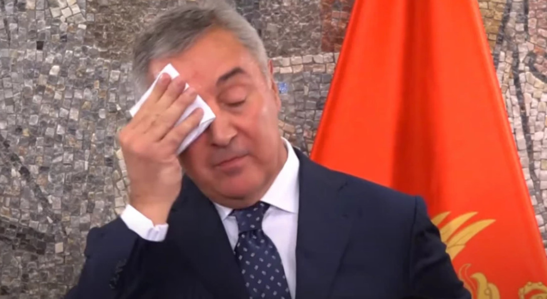 HIT! KNEŽEVIĆ OBJAVIO MILOVU SLIKU SA PLAŽE "Kako smo ga razvalili, od straha ne smije u vodu da uđe" (FOTO)