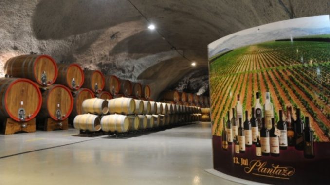 "Plantaže" u 2021. godini proizvele 15.8 miliona kg vinskog grožđa