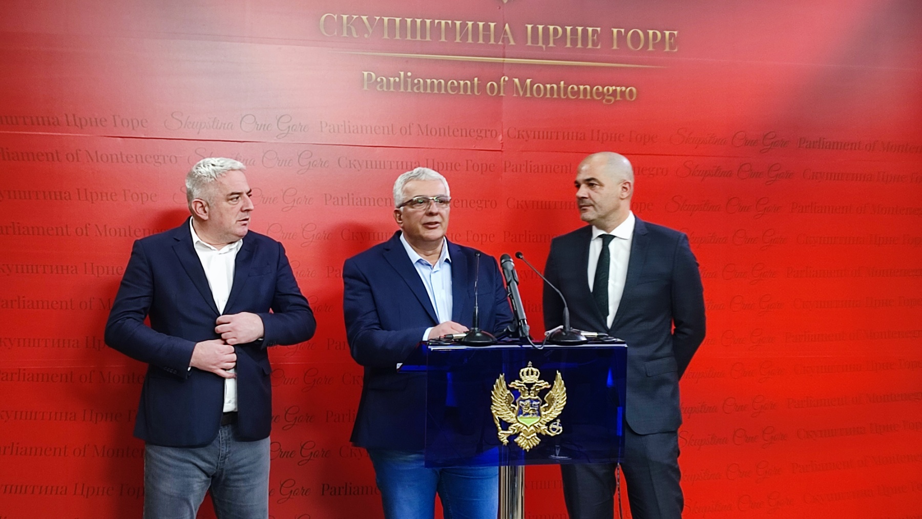 MANDIĆ: DF neće odustati od svojih amandmana!