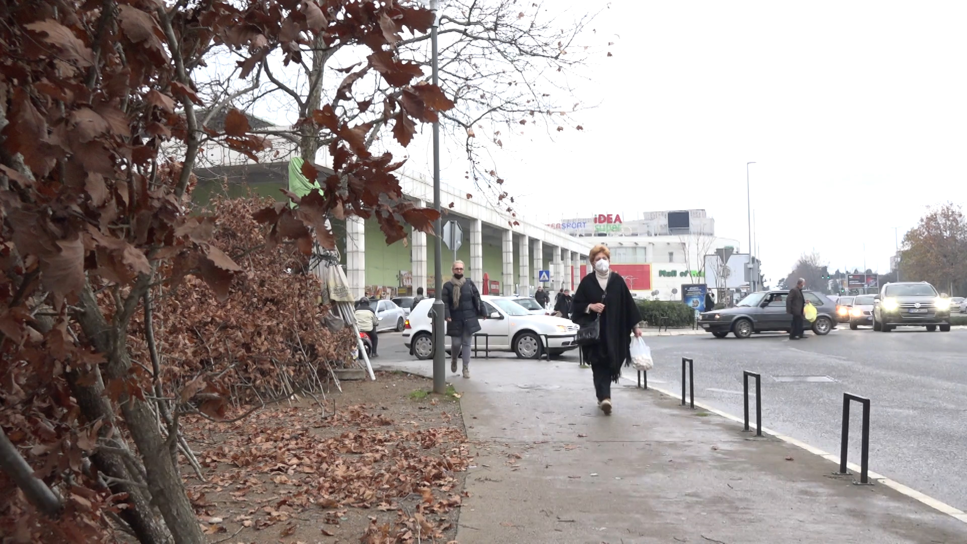 BADNJAK SIMBOL BOŽIĆA: Drvo koje nema cijenu