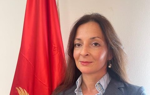 SLOBODNA ZONA LUKE BAR NIJE NADLEŽNOST UPC PETRIČEVIĆ: Staćemo na rep mafiji