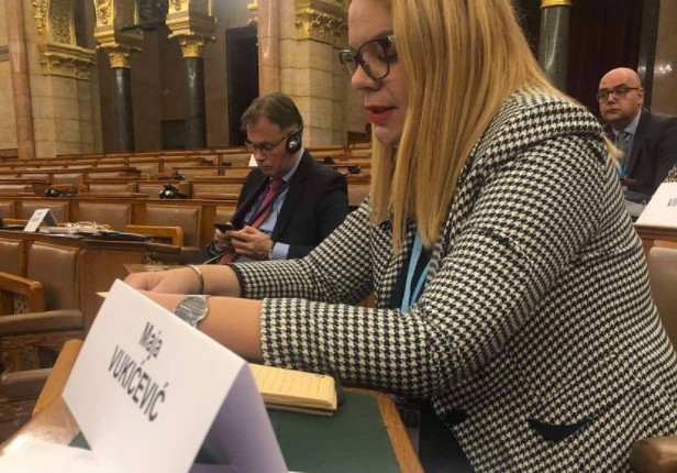 Maja Vukićević izabrana za potpredsjednicu Parlamentarne Skupštine Savjeta Evrope