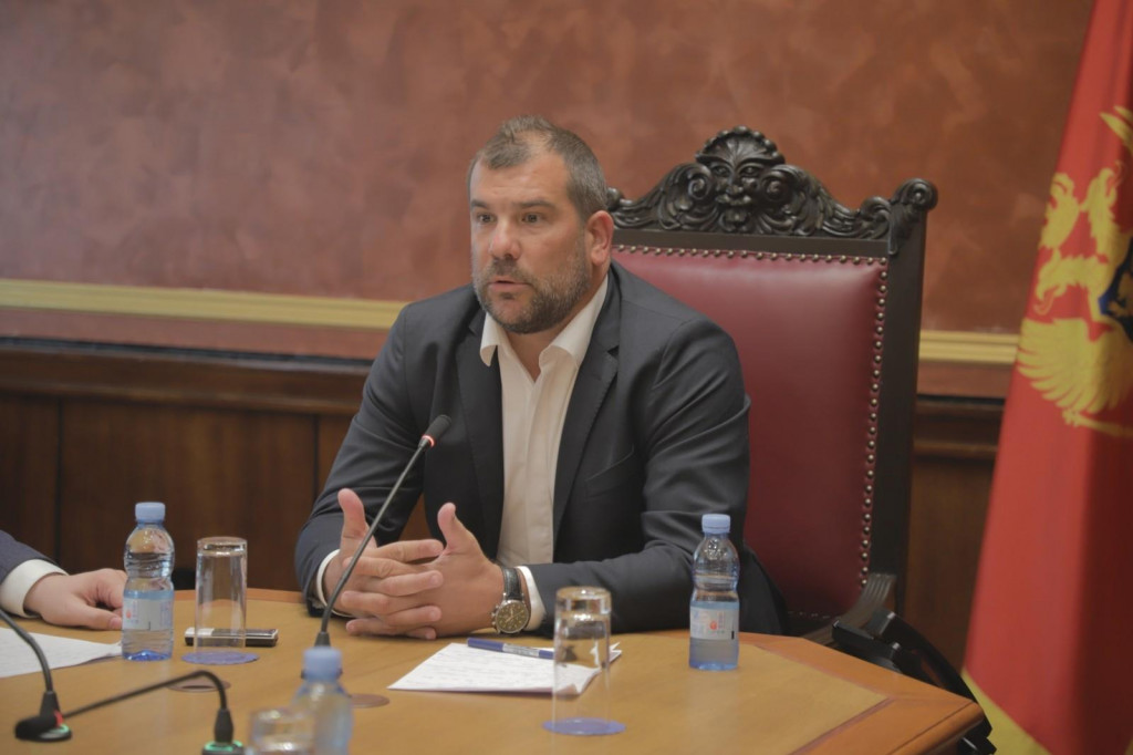 KRAPOVIĆ: Ovo je neviđena prodaja građana Crne Gore