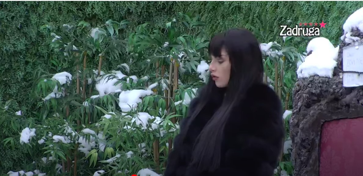 BEZ DLAKE NA JEZIKU! Tara raskrinkala Dejana, Dalilu i Cara! (VIDEO)