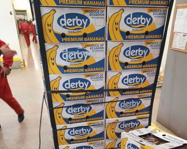 KOKAIN IZ BANANA: Viši sud najavio da će biti uništeno 500 kg te droge