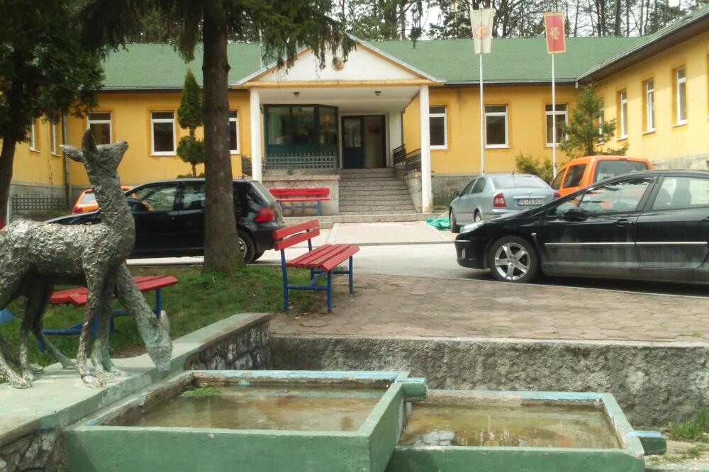 UPRAVA ZA ŠUME REAGOVALA Drvoprerađivači oštetili budžet za milione