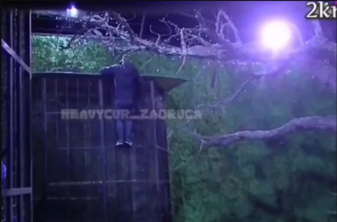MILJANA OČAJNA! BEBICA POBJEGAO IZ ZADRUGE! Evo šta se desilo! (VIDEO)