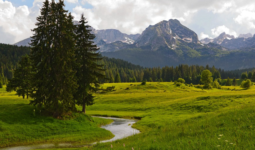 SA SAJMA PORUČENO  Turisti iz Tunisa i Malezije zainteresovani za sjever Crne Gore