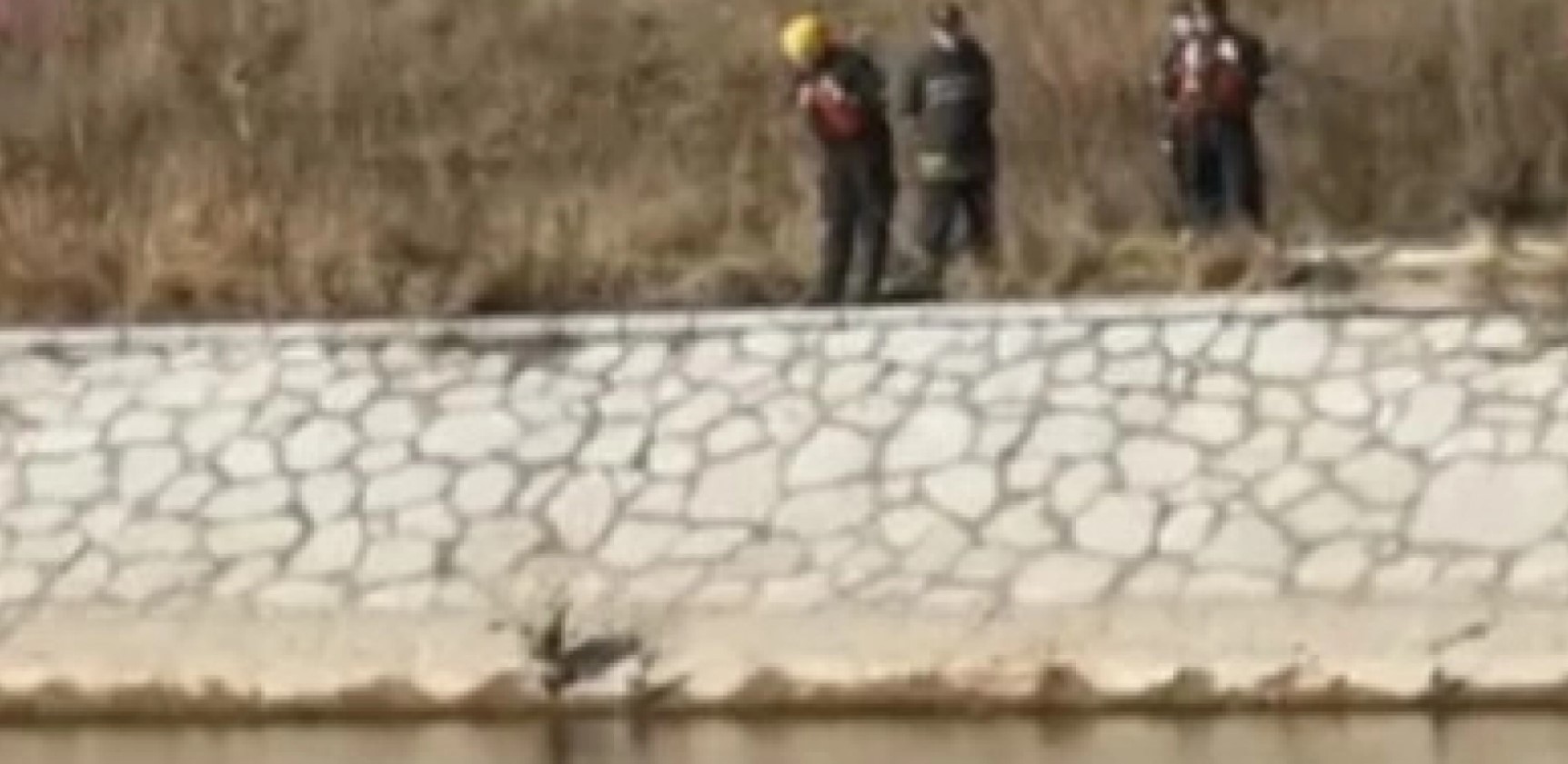 JEZIVO! ISPLIVAO LEŠ IZ NIŠAVE! Policija obavlja uviđaj!