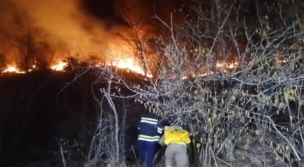 POŽAR U HERCEGOVINI DIVLJA: Vatra prijeti niskonaponskoj mreži (VIDEO)