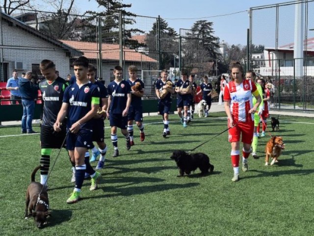 HUMANOST NA DJELU Zvezda prikupila pomoć