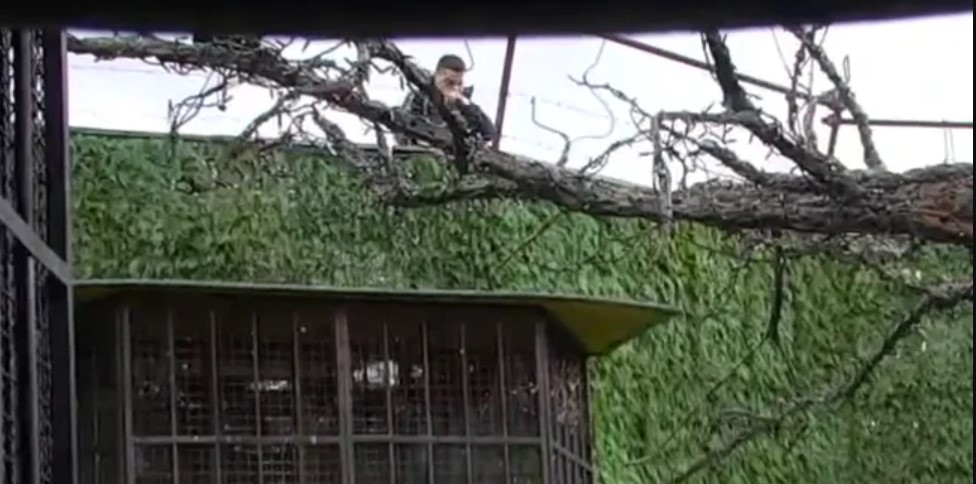 BEBICA OPET BEŽI! Šokovi u Bijeloj kući! (VIDEO)