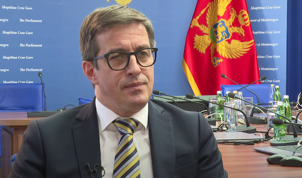 DOBRIČANIN: Građani švercuju ljekove jer su pet puta skuplji nego u regionu