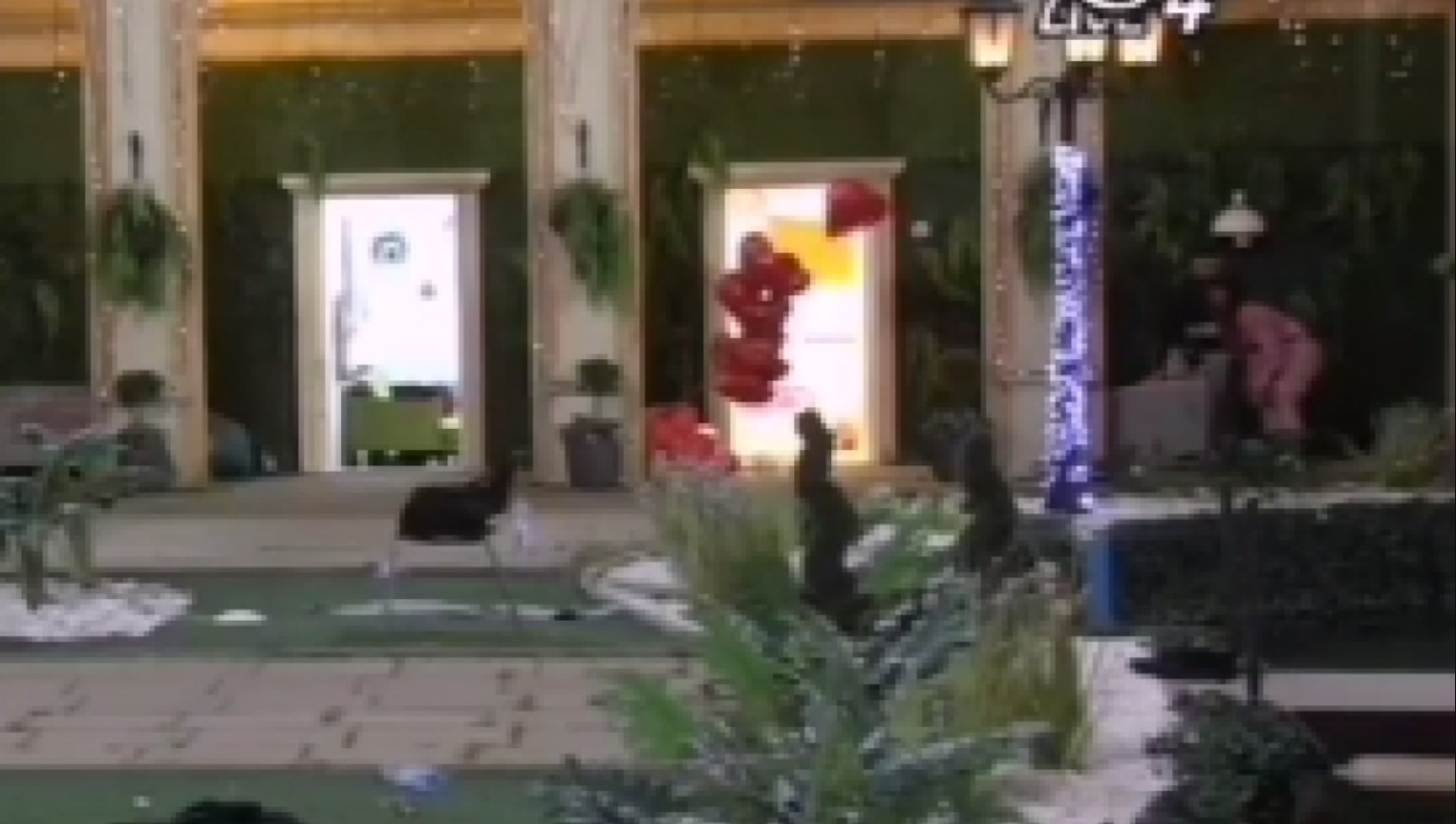 FUJ BRE! MILJANA VRŠI NUŽDU NASRED DVORIŠTA! (VIDEO)