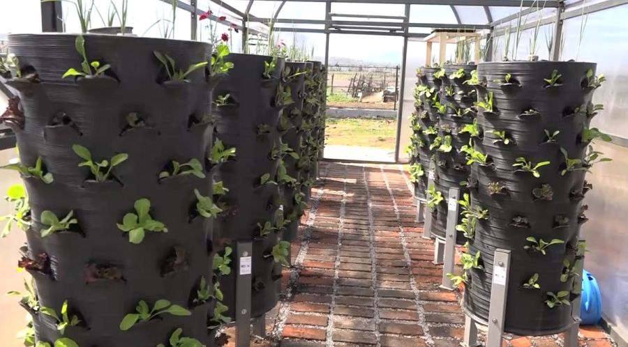 Otvorena Urbana bašta, za početak 1.100 sadnica
