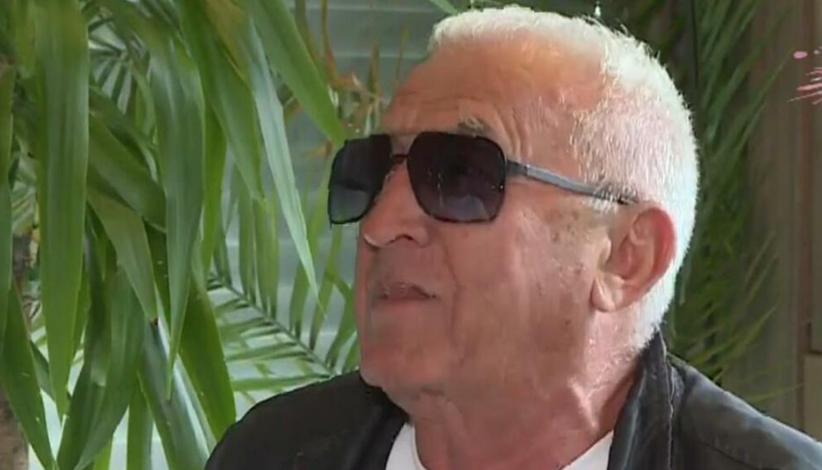 MISLIO SAM DA SAM JE UBIO! Era Ojdanić napao Zoricu Brunclik!