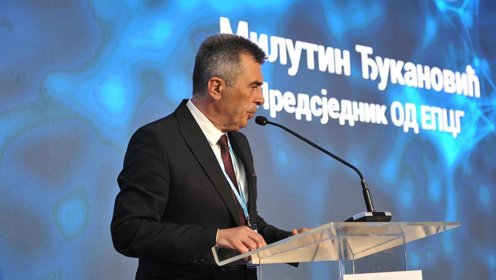 MILUTIN ĐUKANOVIĆ: U oblasti energetike izbrisali smo granice
