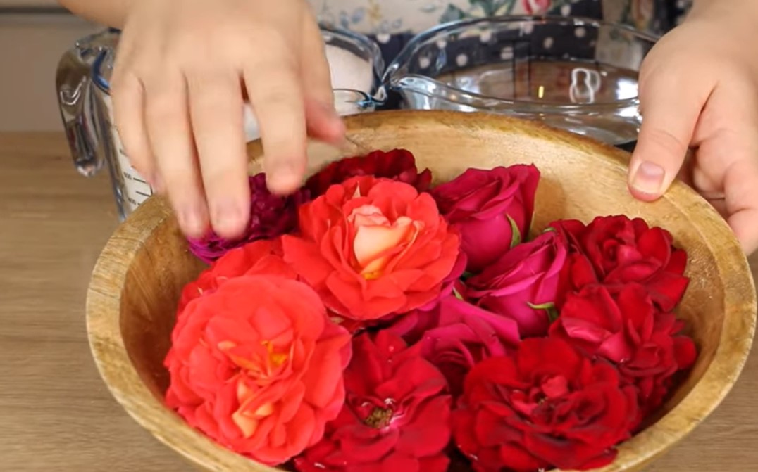 DOMAĆI SIRUP OD RUŽE! Sok sa mnogo lekovitih svojstava!
