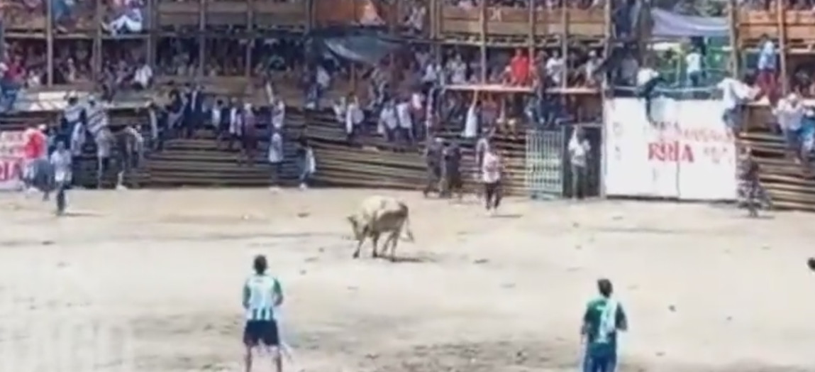 UŽAS U KOLUMBIJI Srušila se tribina tokom borbe bikova, poginule najmanje četiri osobe (VIDEO)