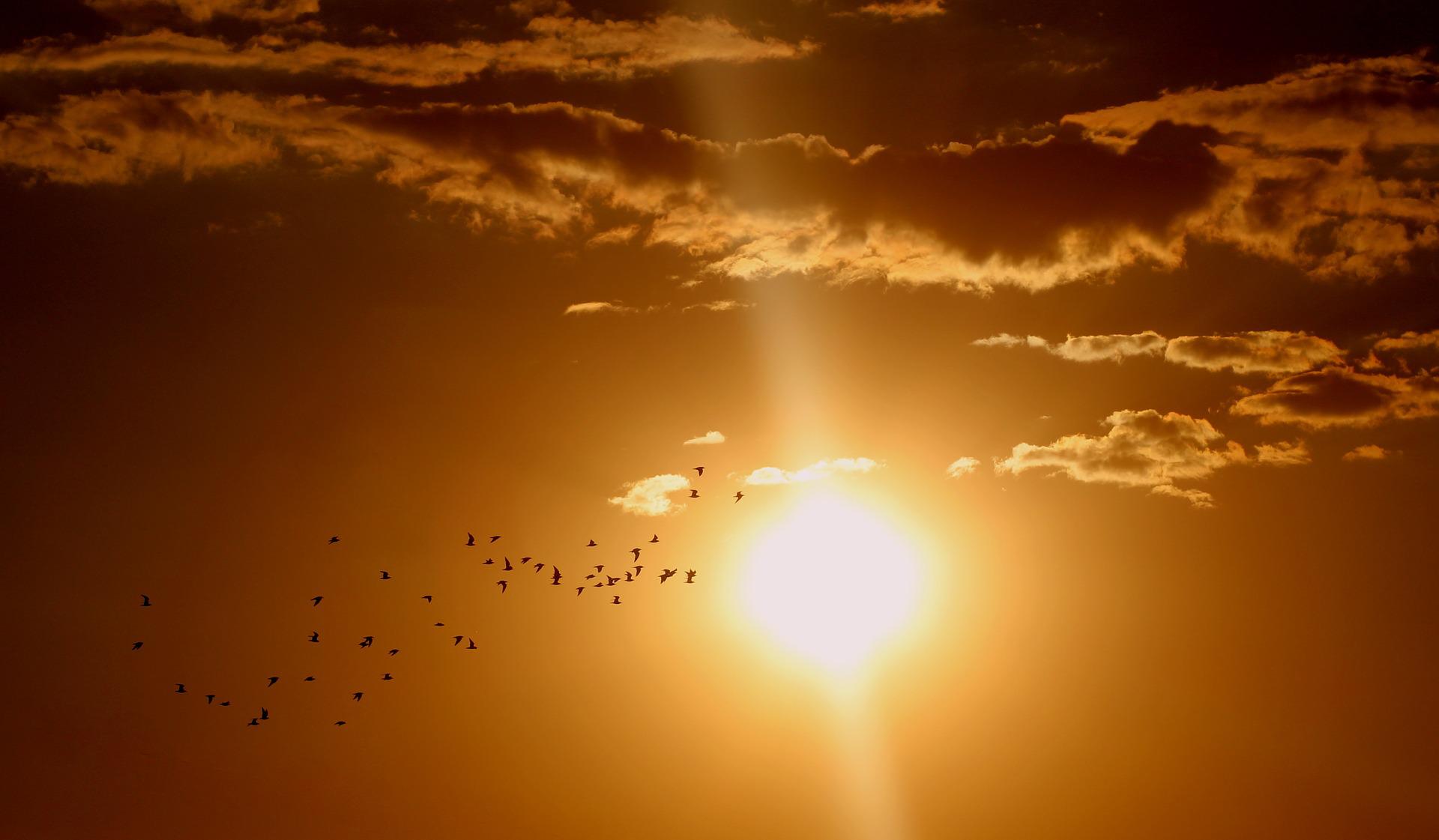 OPREZ, NE IZLAŽITE SE SUNCU! Oboren temperaturni rekord star gotovo osam decenija
