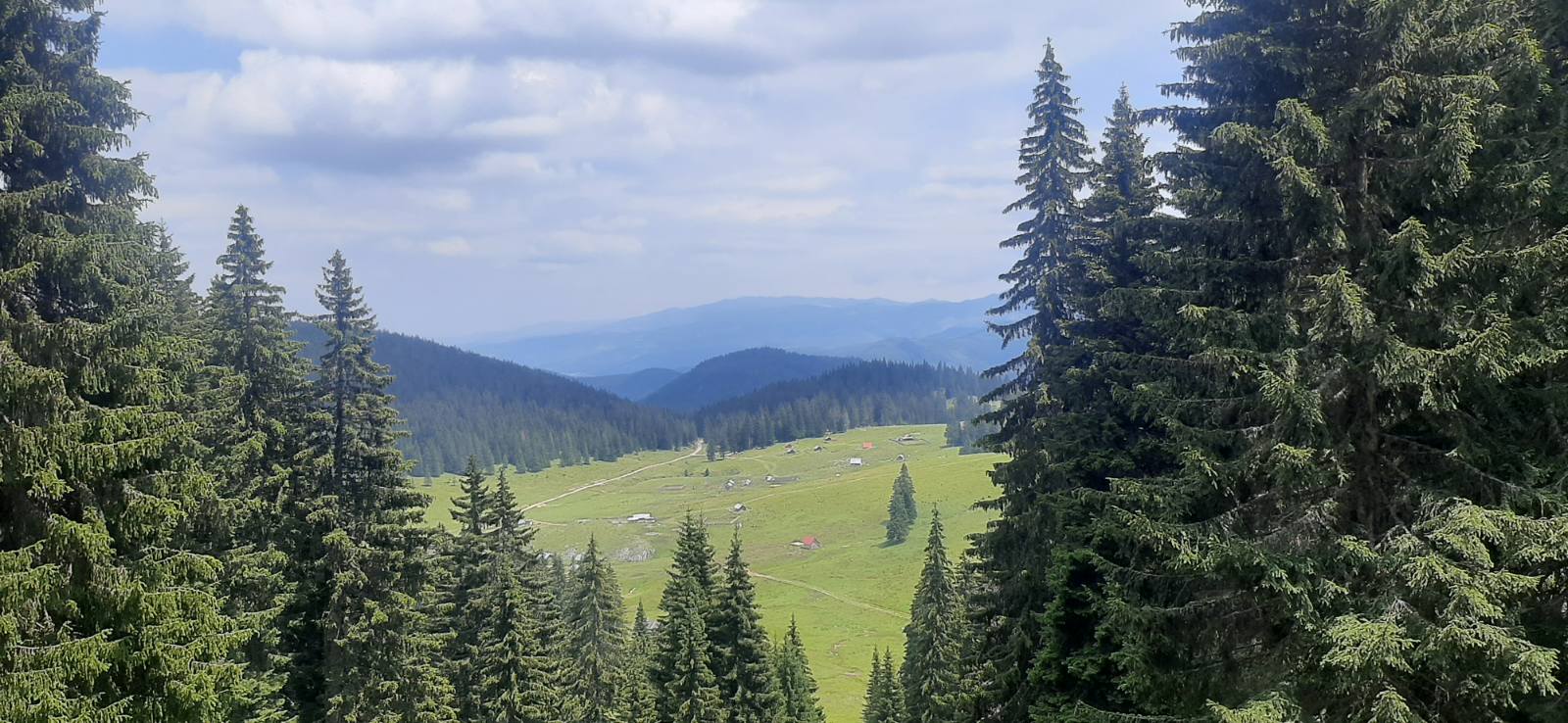 VREMENSKA PROGNOZA Sjutra sunčano i toplo, do 36 stepeni