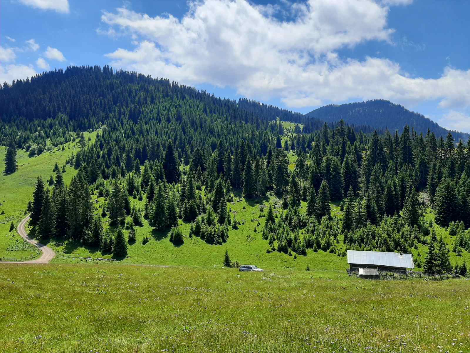 VREMENSKA PROGNOZA: Očekuje nas sunčan i topao dan (FOTO)