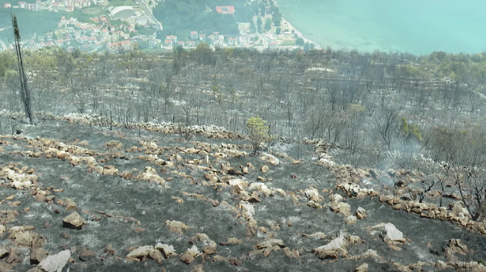 POŽAR KOD HERCEG NOVOG UGAŠEN Birokratija se mora ubrzati dok plamte požari